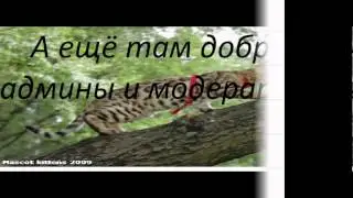 Обзор на группу в ВКонтакте