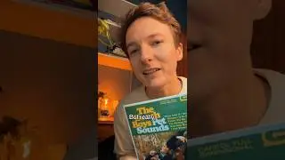 Why is Pet Sounds called Pet Sounds?