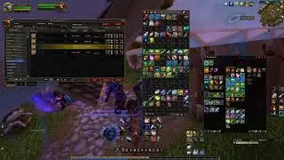 BFA Pet Battles Stream