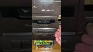 Los Mirlos - El Sonido de Los Mirlos