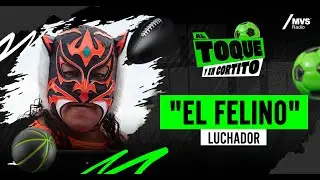 “Yo voy a luchar hasta que mi cuerpo me lo permita” El Felino | Al toque y en cortito