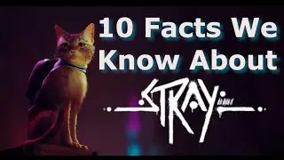 Stray - 10 Facts We Know