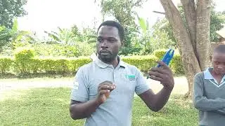 Kabali Edward Grace High School - Gayaza- Elastrator method of castration. 0700-594916.