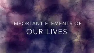 Important elements of our lives
