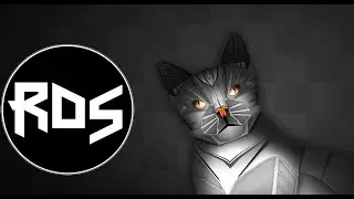 Excision & Downlink - Robo Kitty