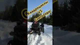 Квадроциклы стелс брп биг фут против снегохода! Буран рулит🤣