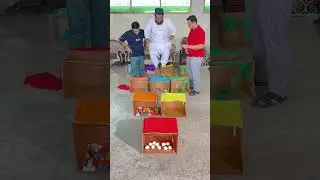 Dont Pick The Wrong Box  