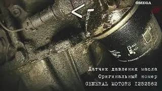 ГДЕ НАХОДИТСЯ: Датчик давления масла OMEGA B X20XEV