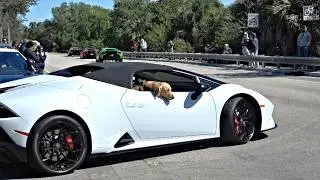Cars and Coffee Palm Beach January 2026| Cars and Coffee |