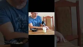 Дрессировка сороки 