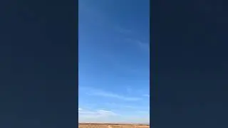 ОХОТА НА ГУСЯ 2023