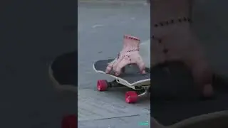 Живая рука  гуляет по Нью-Йорку (видео) 