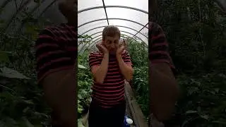 Беда - бедища 