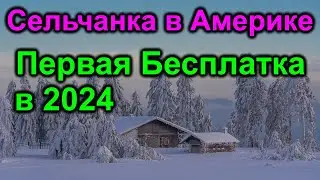 Сельчанка в Америке. Певая бесплатка в новом году