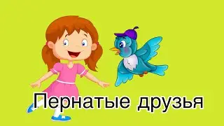 Занятие 12. Пернатые друзья