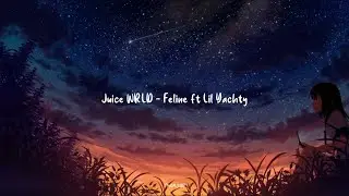 Juice WRLD & Lil Yachty - Feline (Remix | Lyric Video) (Prod. phil!)