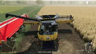 Landwirtschaftssimulator 19 / LS 19 / Knezmost / Sojabohnen ernten