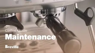 The Barista Pro™ | How to perform a ‘Clean cycle’ on your espresso machine | Breville USA