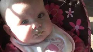 Avocados, Yum!