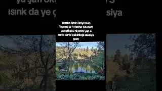bütün derdin bitsin istermisin
