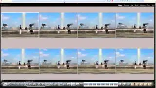 How to cull your images quickly in Lightroom CC.