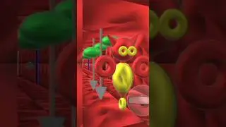 SumSum Bot Jumpscare (Baldi's Basics)