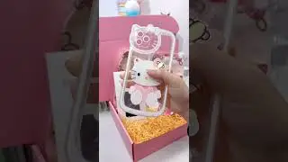 Sanrio Package 😍😍#sanrio