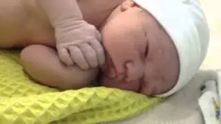 Лев родился Слава Богу