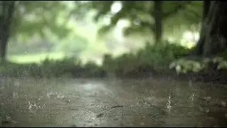 Peaceful & Relaxing Sounds Of Gentle Falling Rain-Relaxation, Sleep, Meditation, Stress, White Noise