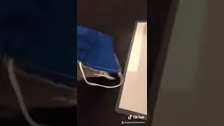 Blue mask for sale