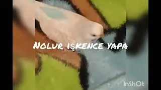 Tehlikeli anlar 2 🤣🤣🤣