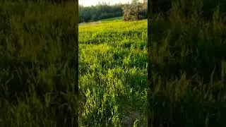 Marmarasol Solucan Gübresi Uygulaması (1)