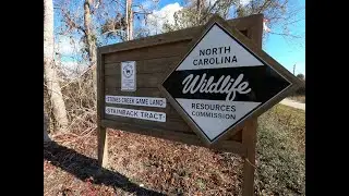 Game Land Day Hike; Stones Creek Stainback & Folkstone Tracts