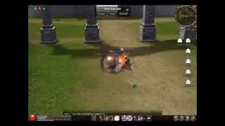 Metin2.us PVP Duels DinoMint