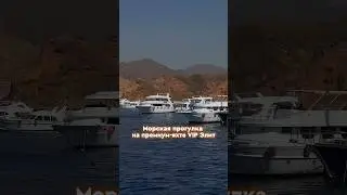 Морская прогулка на премиум-яхте VIP «Элит» 🐠 #египет #путешествия #море