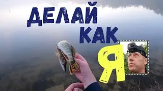 Делай как я, поймал - отпусти.