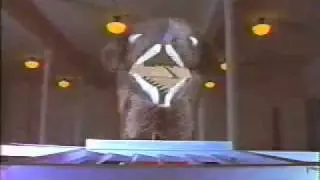 MTV ID Butler (1995)