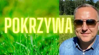 Pokrzywa Niesamowite Korzyści dla Zdrowia i Urody