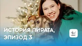 История Пирата, эпизод 3