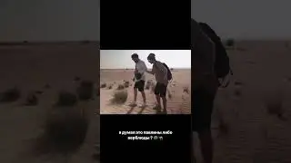 ЛИТВИНА СЛОВИЛИ  И ЗА СТАВИЛИ ОТВЕЧАТЬ ЗА СЛОВА!