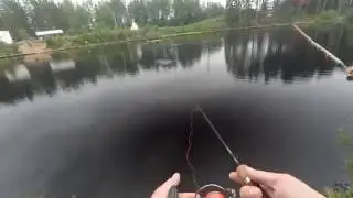 jspin ikra