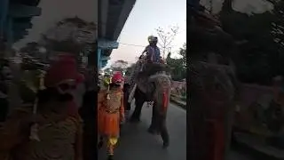 dhanu yatraa in sambalpur ||