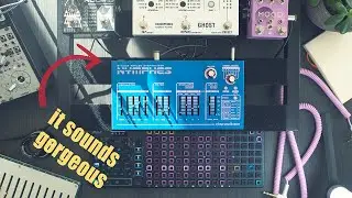 The Affordable Synth that Sounds Expensive [ 