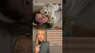 The blogger's dog's tail was cut off