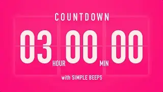 3 Hours Countdown Flip Clock Timer / Vibration Beep 💓