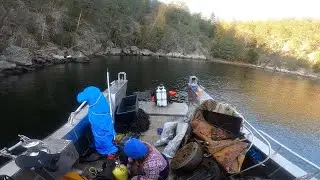 Removing trash from the Oslo fjord