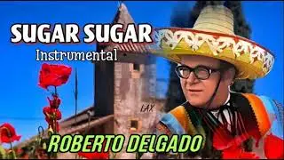 Roberto Delgado - Sugar Sugar (Instrumental)