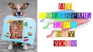 My Colorful Life   May 2019