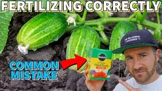 This Common Fertilizer Mistake Is RUINING Your Garden's Productivity!