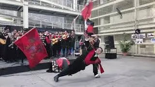 La cartera/ El Vampiro. Tuna de la Facultad de Derecho de la UNAM.